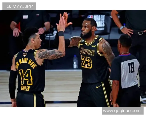 猛龙与湖人精彩对决图集回顾球迷热情瞬间定格