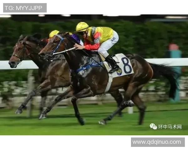 飞马与风暴精彩对决比分汇总及赛程分析全记录